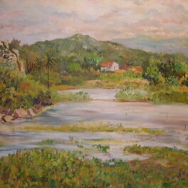 Francinaldo da Silva